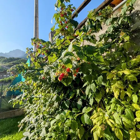 La Mansarda Dei Tre Cipressi 아파트 아오스타