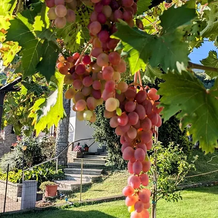 La Mansarda Dei Tre Cipressi Apartament *
