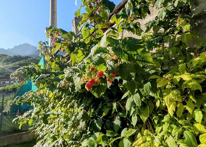 La Mansarda Dei Tre Cipressi Appartamento Aosta